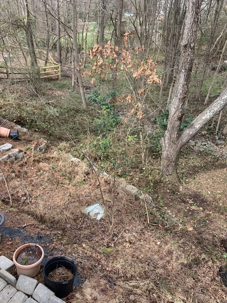 Affordable yard maintenance in Charlotte, NC by Hill Tribe Logging