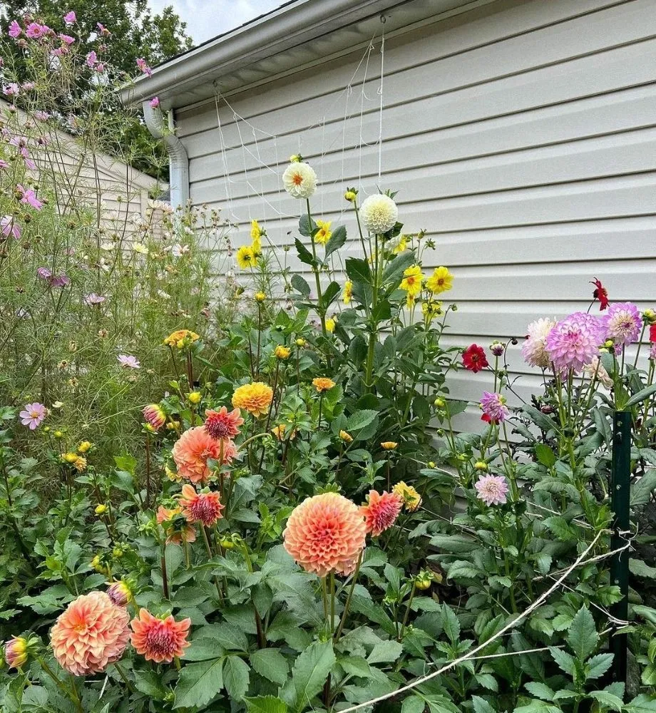 Custom landscaping services near you across Charlotte, NC - Hill Tribe Logging