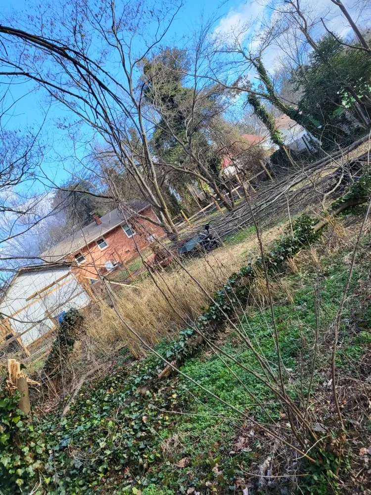 Affordable yard maintenance in Charlotte, NC - Hill Tribe Logging