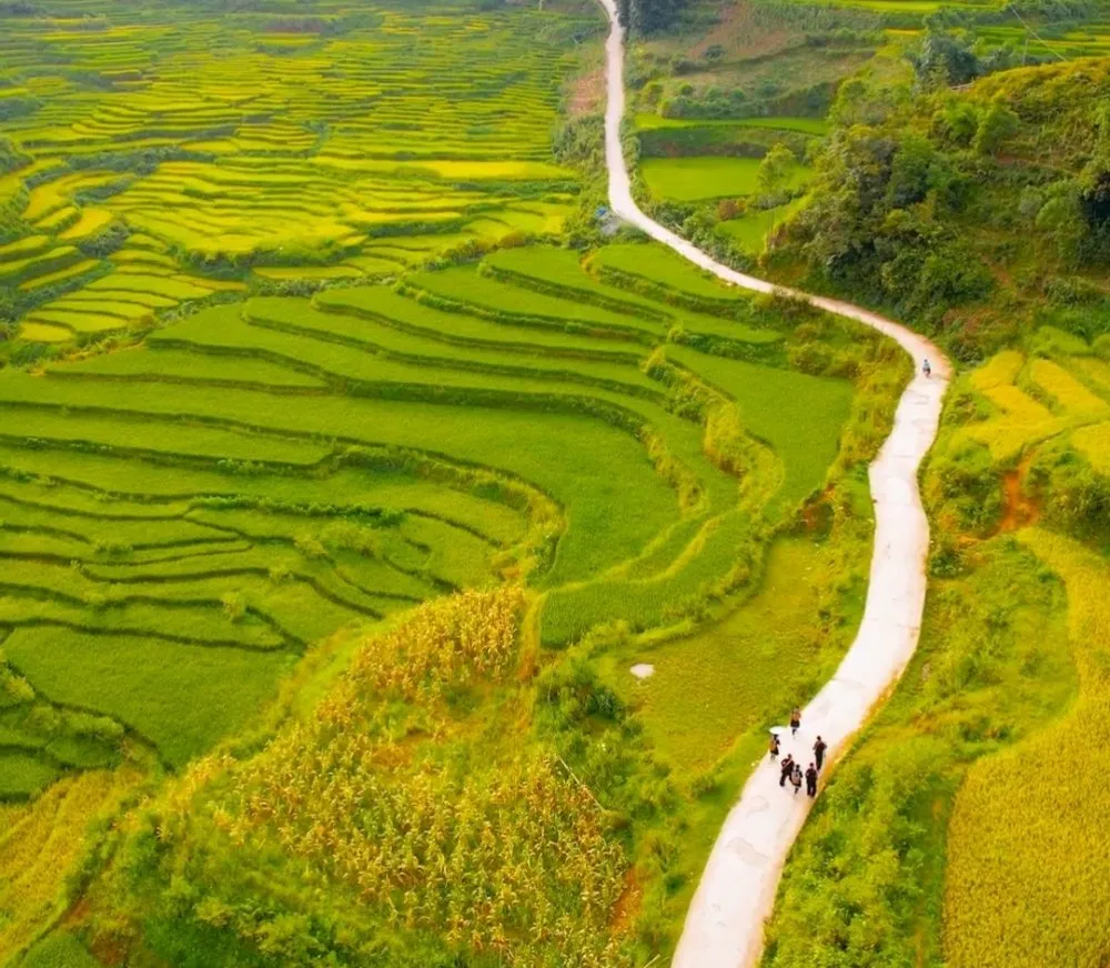 Trusted residential landscaping for year-round maintenance across Charlotte, NC - Hill Tribe Logging