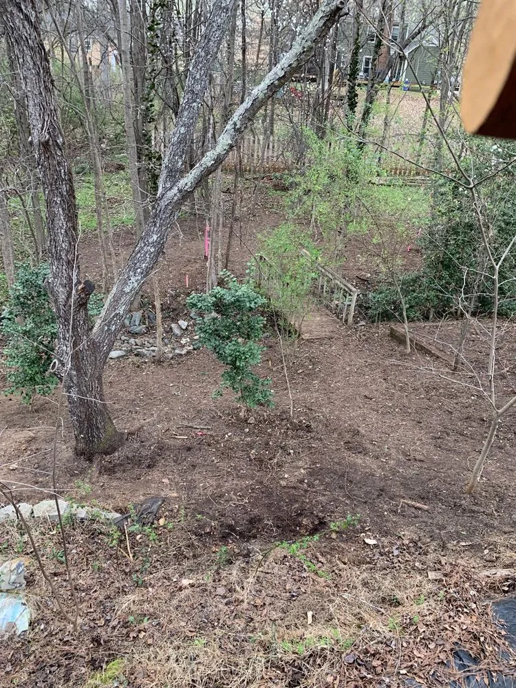 Top-rated landscape design in Charlotte, NC by Hill Tribe Logging