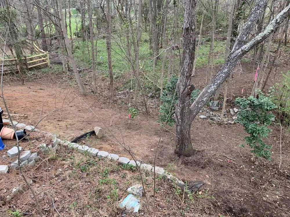 Affordable landscape installation in Charlotte, NC by Hill Tribe Logging