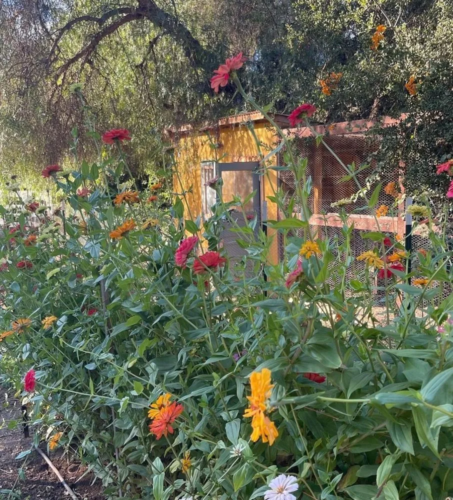 Local landscaping services with custom design in Charlotte, NC by Hill Tribe Logging