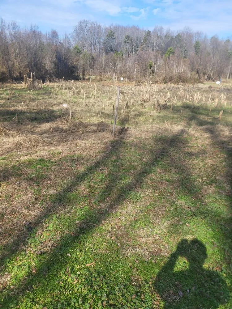 Affordable landscaping services in Charlotte, NC - Hill Tribe Logging