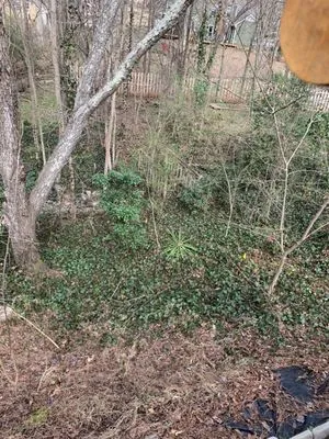 Hill Tribe Logging Logo