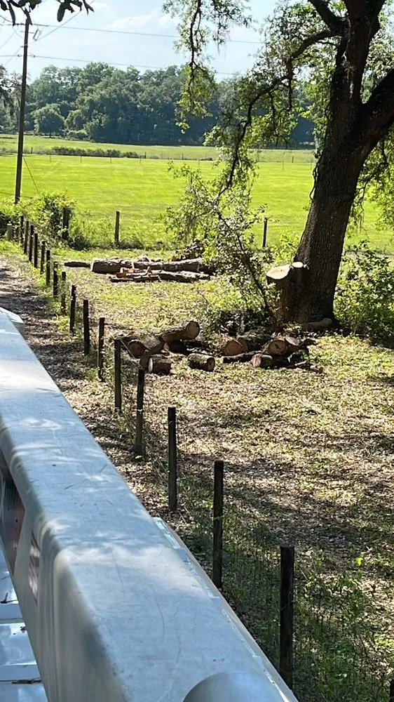 Top-rated landscape installation with custom design in Spring Hill, FL by Hill Verdecia Trimming & Landscaping