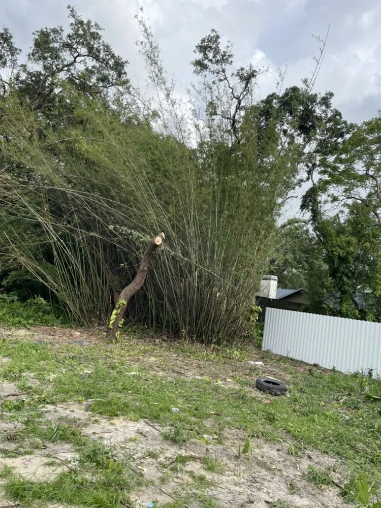 Expert landscape installation for beautiful yards across Spring Hill, FL - Hill Verdecia Trimming & Landscaping