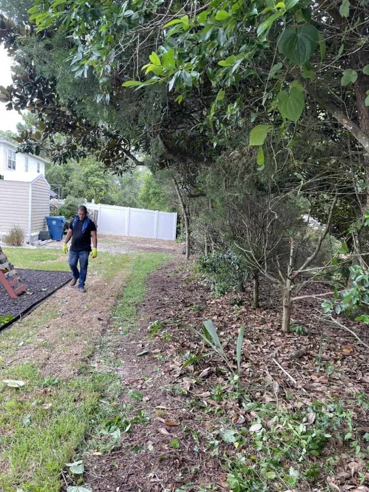 Affordable outdoor landscaping in Spring Hill, FL - Hill Verdecia Trimming & Landscaping