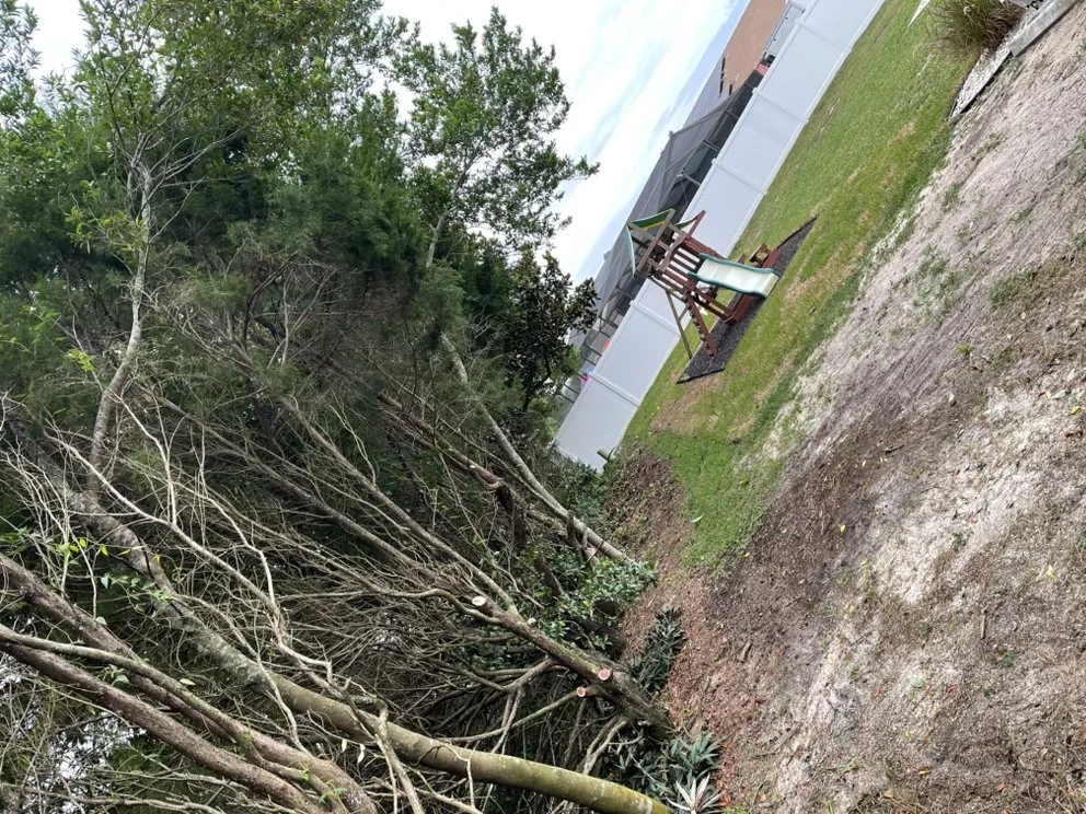 Trusted residential landscaping experts serving Spring Hill, FL - Hill Verdecia Trimming & Landscaping