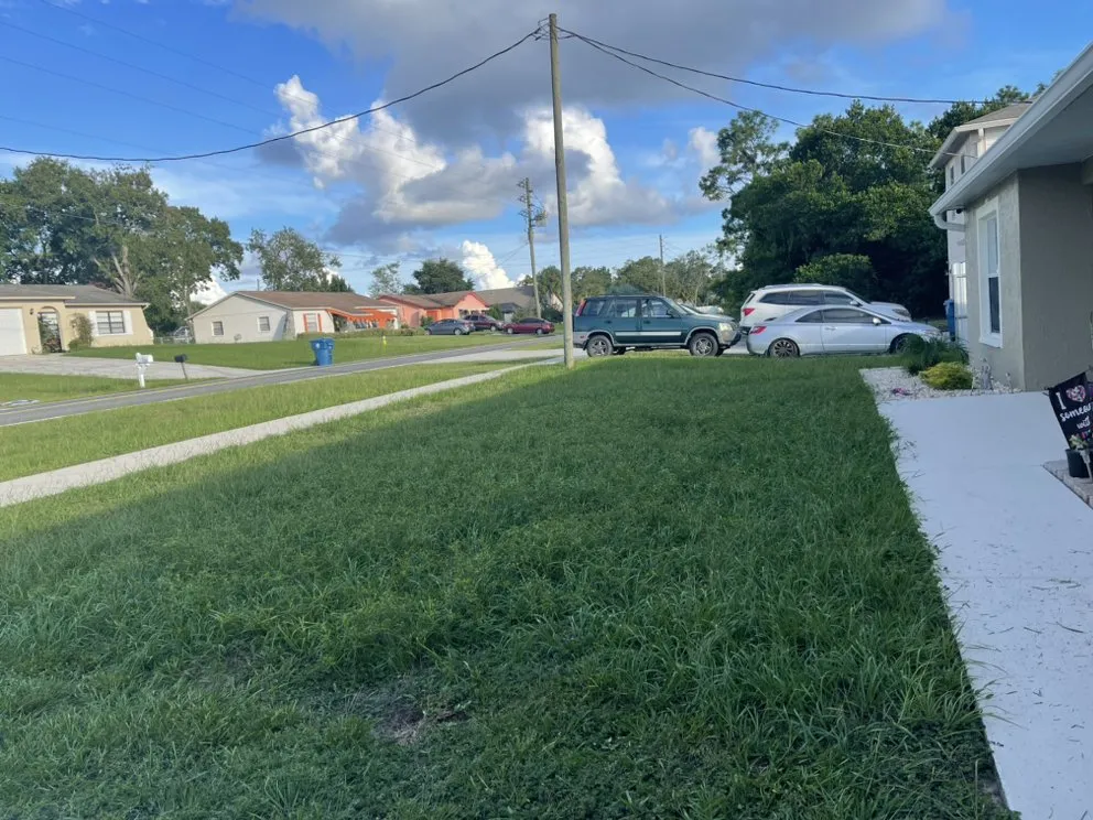 Reliable lawn care service in Spring Hill, FL by Hill Verdecia Trimming & Landscaping