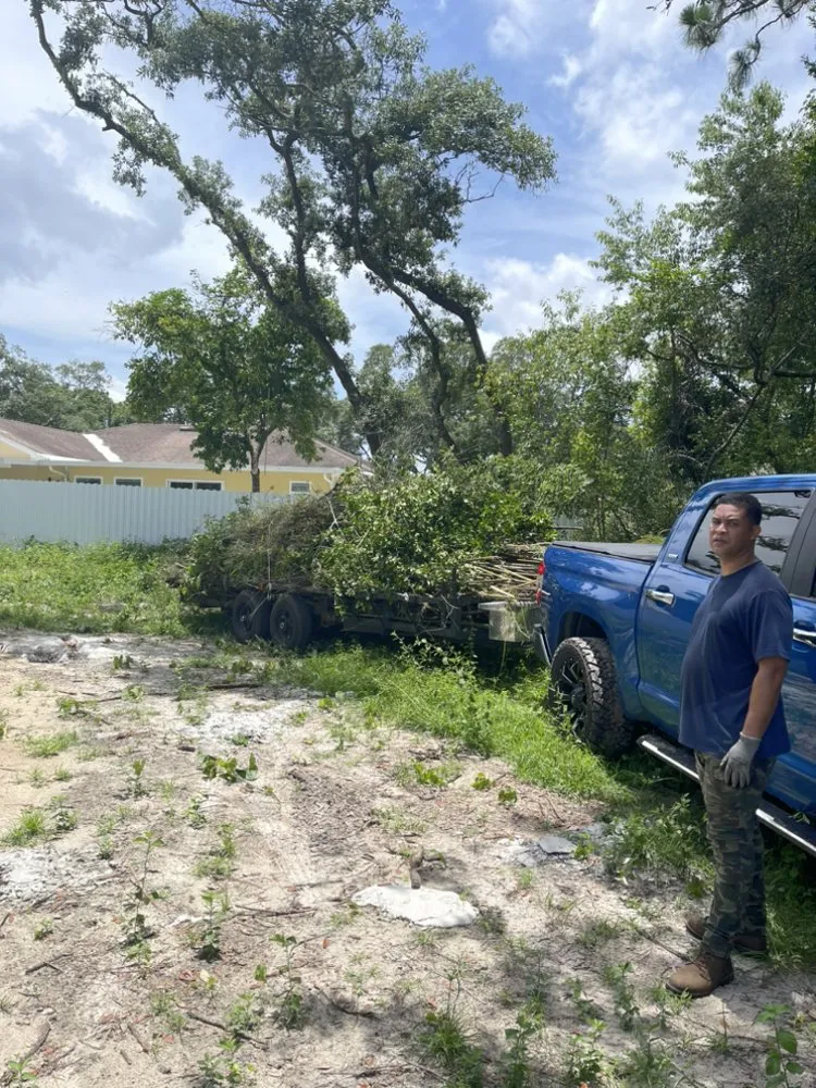 Local landscaping services with custom design across Spring Hill, FL - Hill Verdecia Trimming & Landscaping