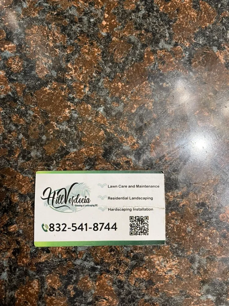 Local yard maintenance for homes across Spring Hill, FL - Hill Verdecia Trimming & Landscaping