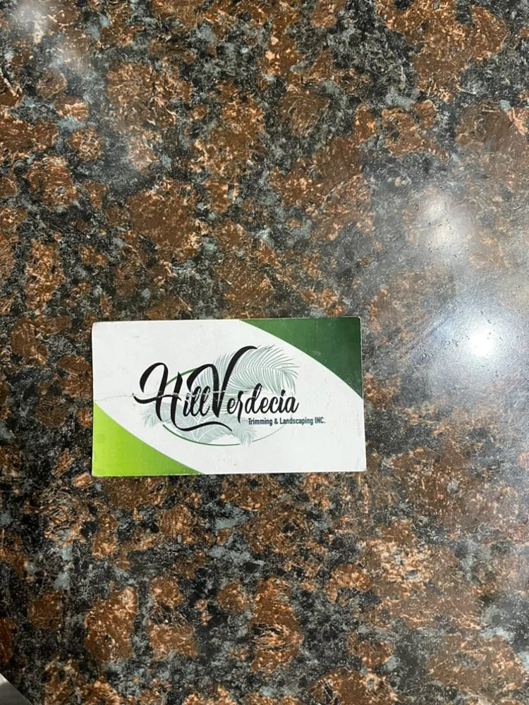 Local yard maintenance near you in Spring Hill, FL by Hill Verdecia Trimming & Landscaping