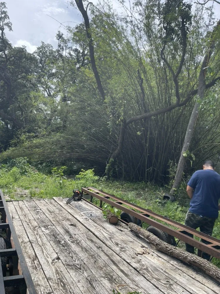 Expert residential landscaping experts serving Spring Hill, FL - Hill Verdecia Trimming & Landscaping