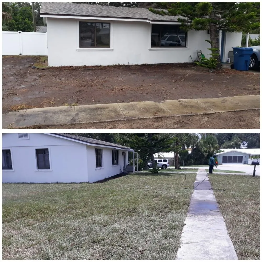Local lawn care service in Daytona Beach, FL - Hillassistance Landscaping