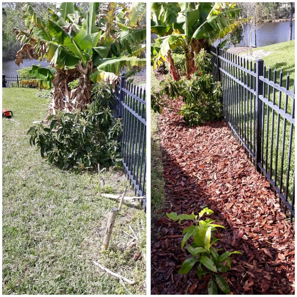 Professional yard maintenance with custom design in Daytona Beach, FL by Hillassistance Landscaping