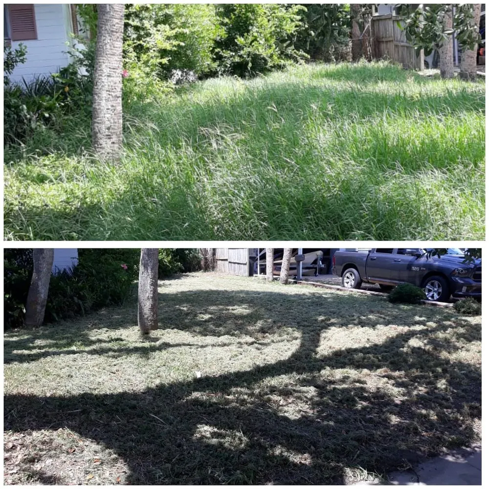 Top-rated residential landscaping in Daytona Beach, FL by Hillassistance Landscaping