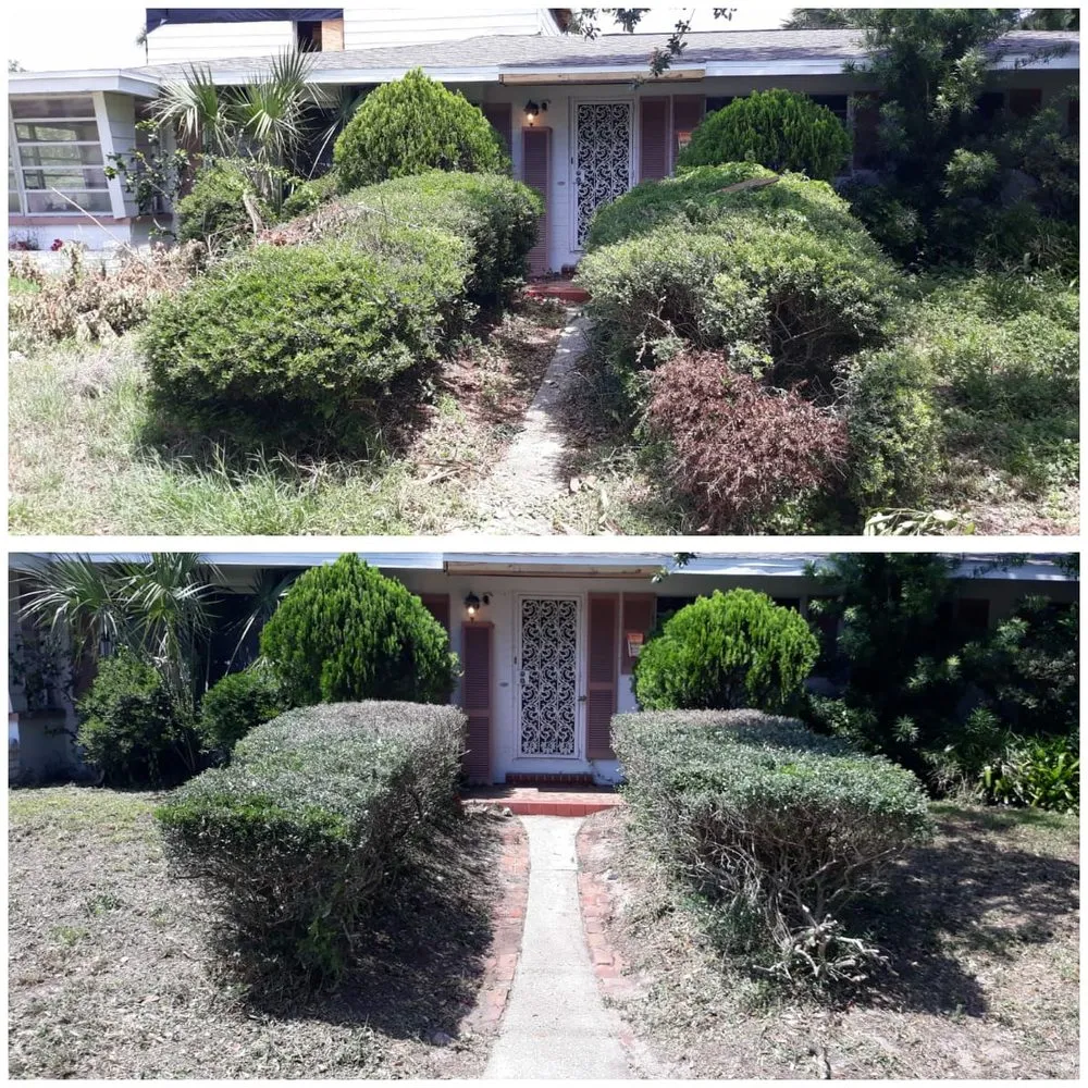 Expert garden landscaping with custom design in Daytona Beach, FL by Hillassistance Landscaping