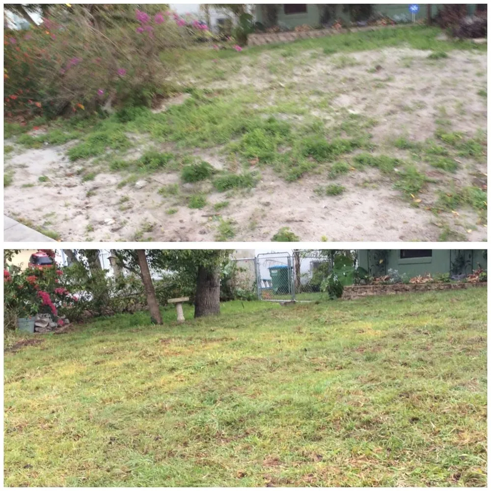 Affordable landscaping services for beautiful yards across Daytona Beach, FL - Hillassistance Landscaping