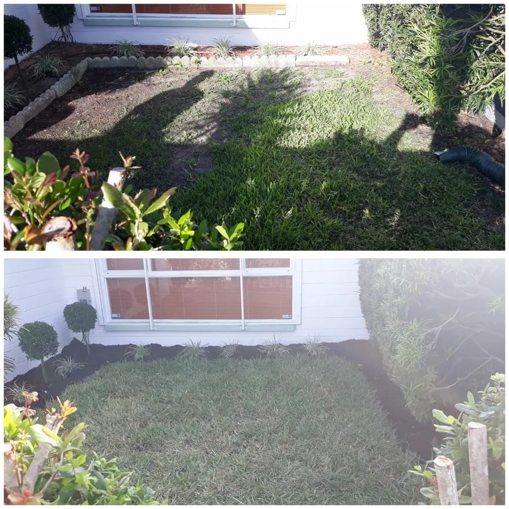 Professional yard maintenance for year-round maintenance in Daytona Beach, FL by Hillassistance Landscaping