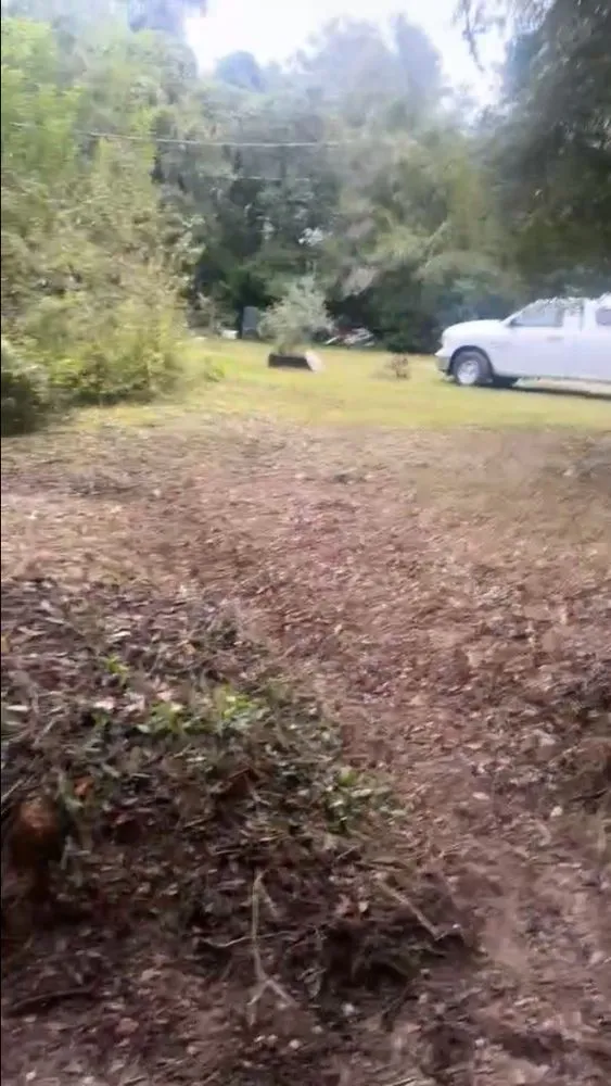 Professional residential landscaping for residential properties in Spring Hill, FL by Hillbilly Grasshoppers Lawncare and Maintenance