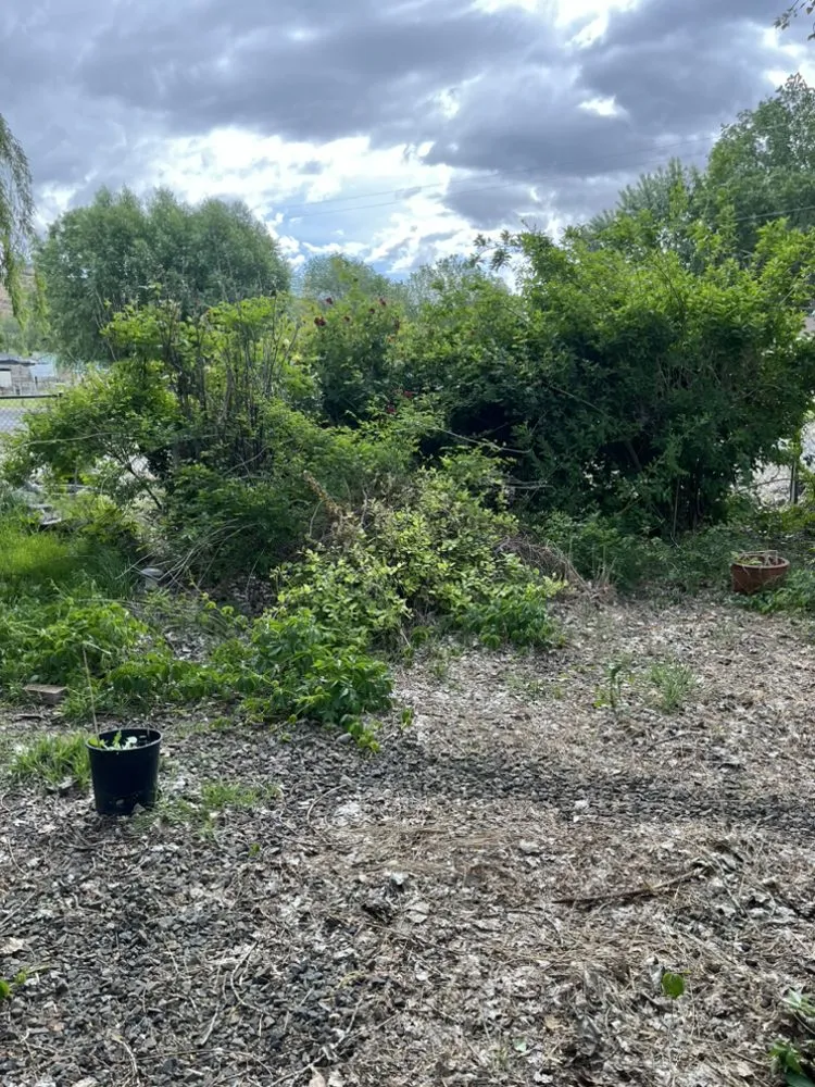 Reliable lawn care service experts serving Yakima, WA - Hillbilly Haulers