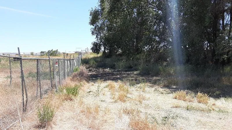 Trusted garden landscaping for year-round maintenance across Yakima, WA - Hillbilly Haulers