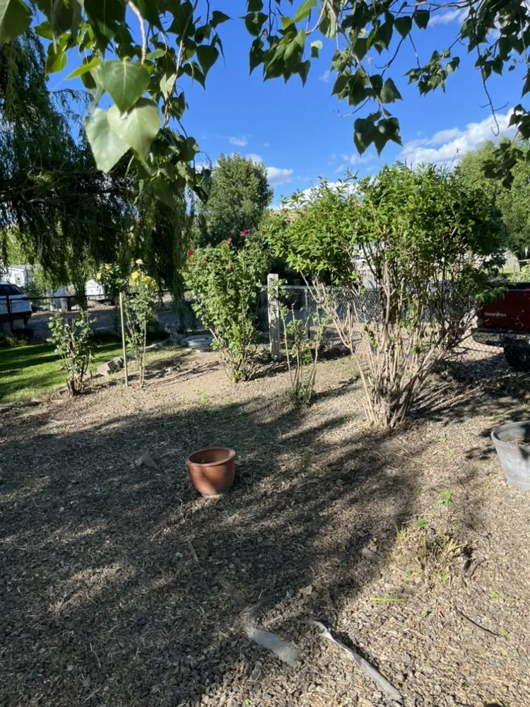 Top-rated yard cleanup service for beautiful yards across Yakima, WA - Hillbilly Haulers