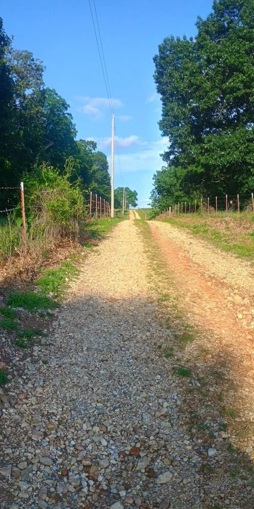 Trusted outdoor landscaping in Maysville, AR by Hillbilly Up Lawn Care