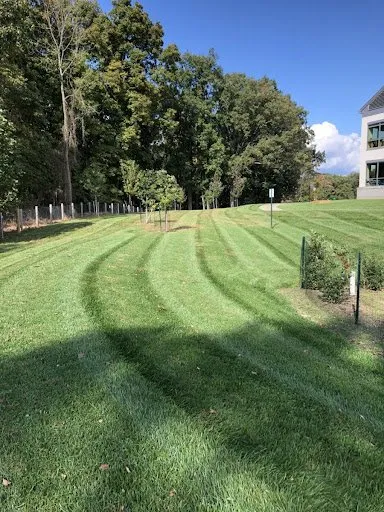 Local yard maintenance with custom design across Wilmington, DE - Hillcrest Landscape Services