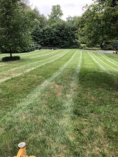 Affordable yard cleanup service in Wilmington, DE - Hillcrest Landscape Services