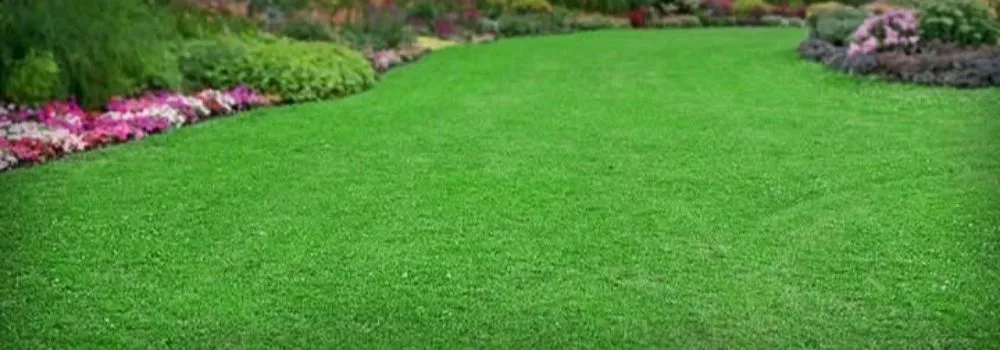 Custom lawn care service for outdoor upgrades in Theodore, AL by Hillcrest Lawn Service