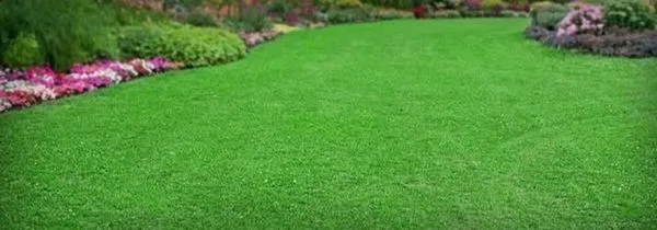 Hillcrest Lawn Service Logo