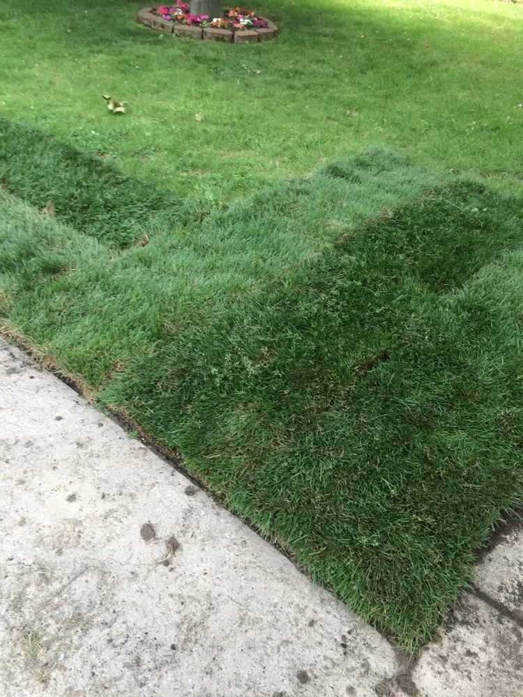 Expert landscaping services experts serving Romulus, MI - Hillcrest Sod Farm