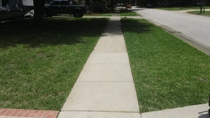 Professional yard cleanup service for homes in Port Orange, FL by Hiller Lawn Care