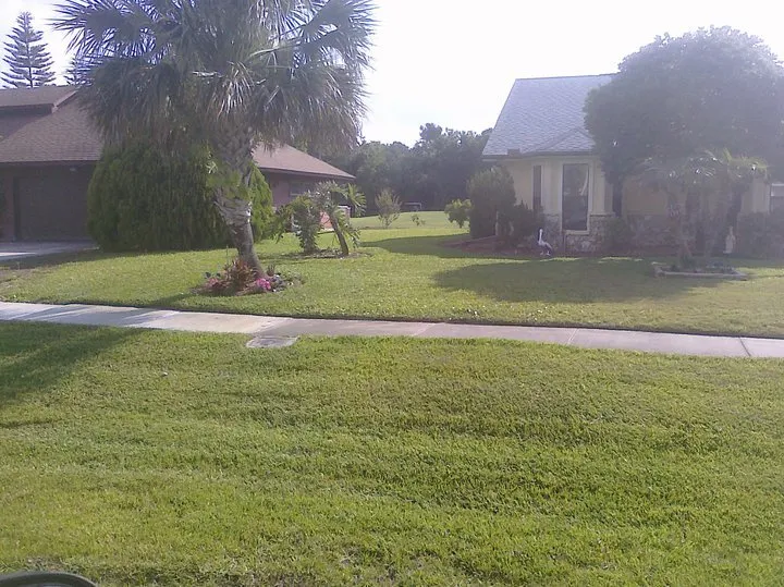 Trusted landscaping services in Port Orange, FL - Hiller Lawn Care
