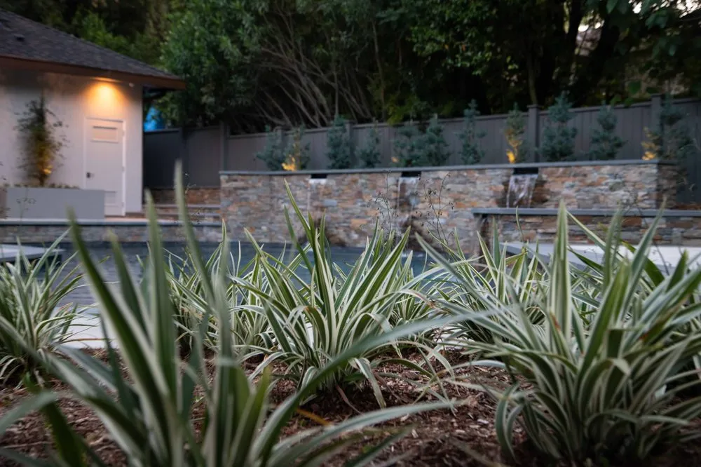 Expert outdoor landscaping for year-round maintenance in Los Angeles, CA by Hillrise Design