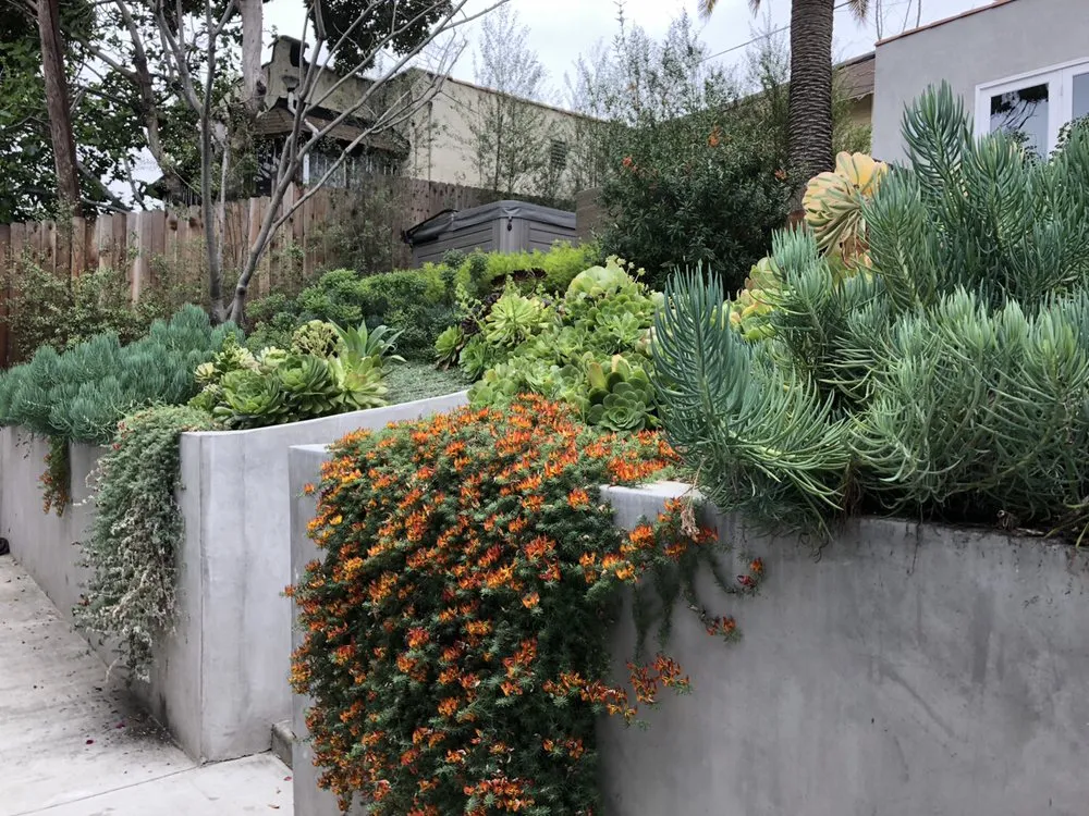 Top-rated residential landscaping in Los Angeles, CA by Hillrise Design