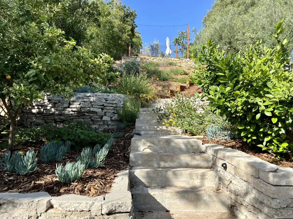 Affordable lawn care service experts serving Los Angeles, CA - Hillrise Design