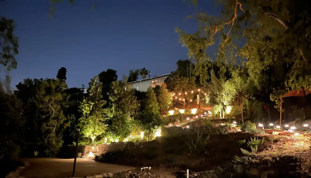 Custom landscape installation in Los Angeles, CA - Hillrise Design