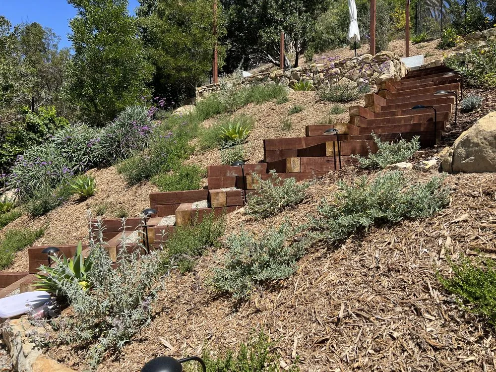 Local lawn care service in Los Angeles, CA by Hillrise Design