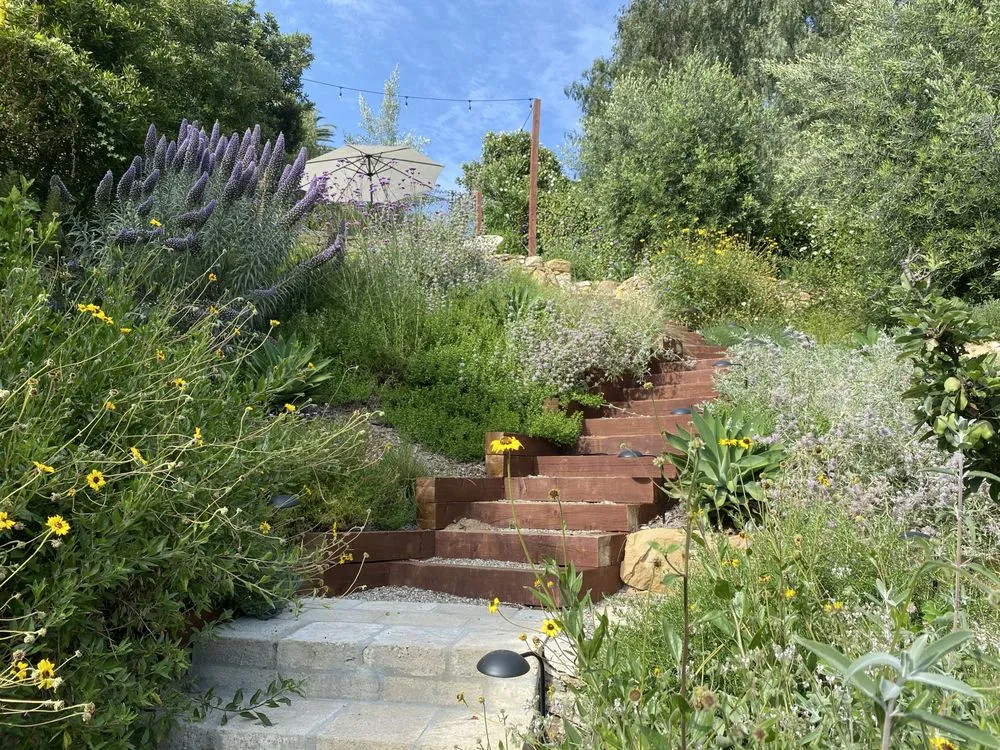 Expert landscaping services in Los Angeles, CA by Hillrise Design