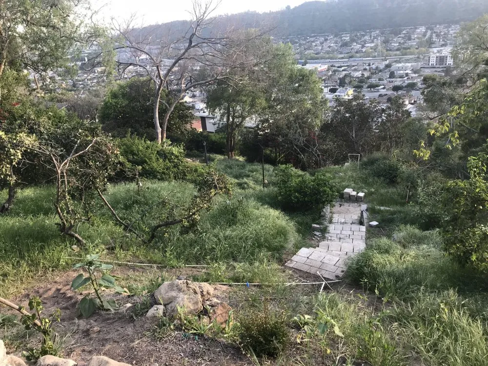 Custom landscaping services experts serving Los Angeles, CA - Hillrise Design