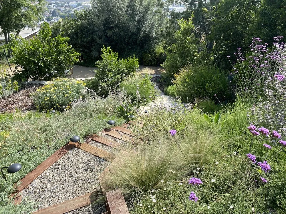 Custom lawn mowing service for outdoor upgrades in Los Angeles, CA by Hillrise Design