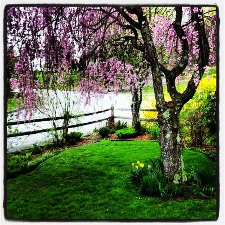 Custom landscaping services in Lebanon, CT - Hills All Pro Landscaping