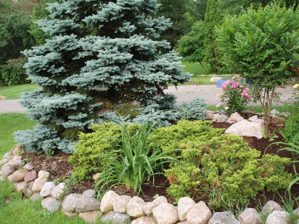 Local yard maintenance in Dundee Township, IL - Hills and Dales All Seasons Services