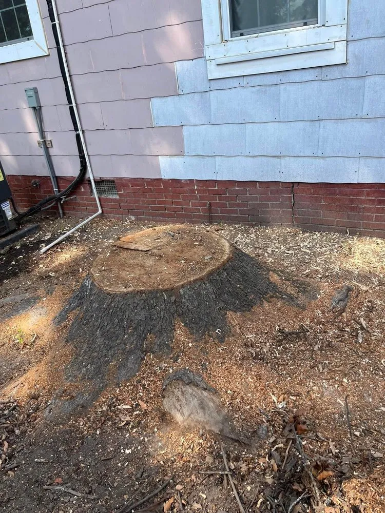 Local residential landscaping experts serving Vicksburg, MS - Hill’s Custom Services