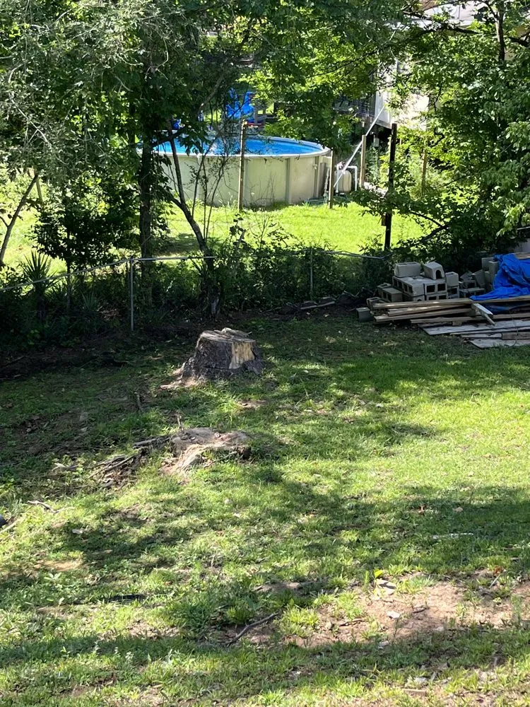 Reliable yard cleanup service experts serving Vicksburg, MS - Hill’s Custom Services