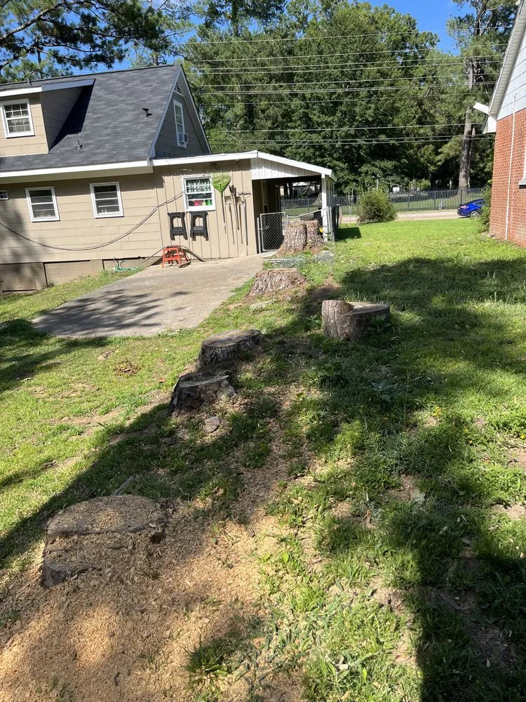 Affordable residential landscaping for year-round maintenance in Vicksburg, MS by Hill’s Custom Services