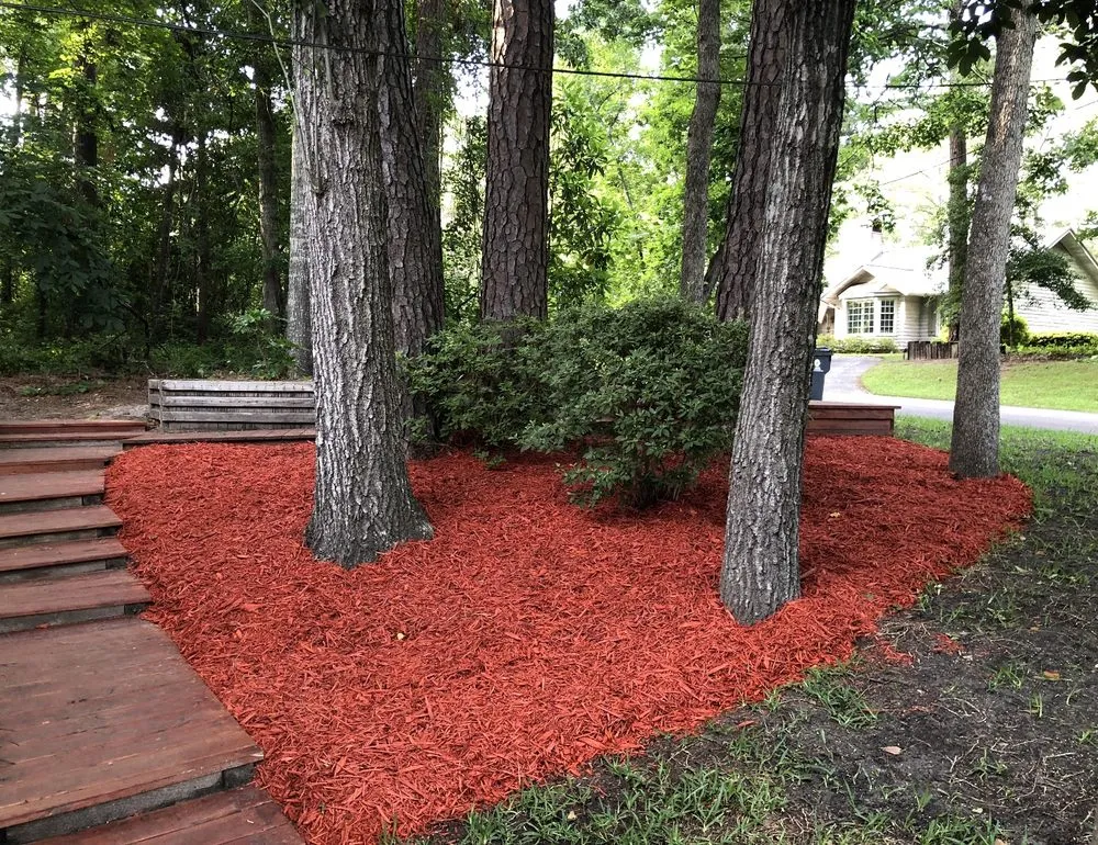 Top-rated yard cleanup service in Conway, SC - Hills Cutting Edge